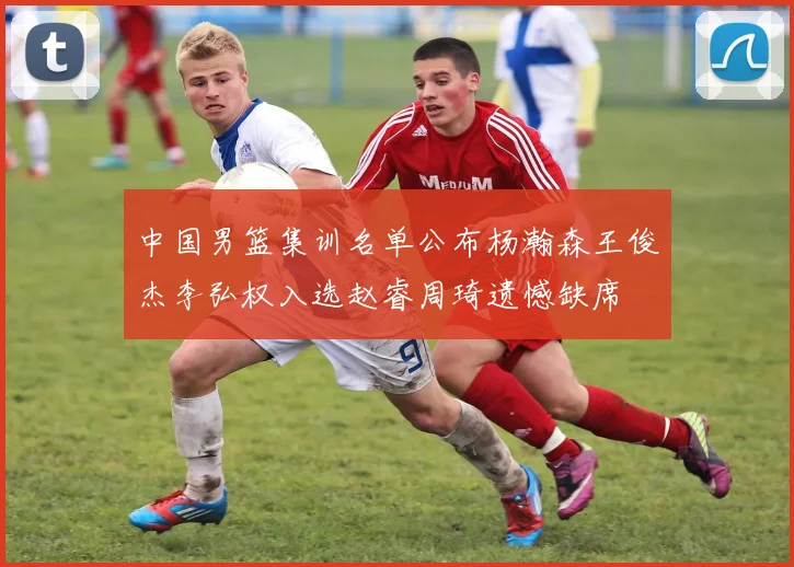 中国男篮集训名单公布杨瀚森王俊杰李弘权入选赵睿周琦遗憾缺席