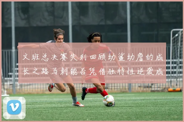 文班总决赛失利回顾幼鲨幼詹的成长之路马刺能否凭借独特性逆袭成功