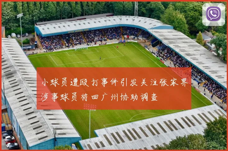 小球员遭殴打事件引发关注张家界涉事球员将回广州协助调查